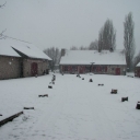  P1010004 (Small).jpg